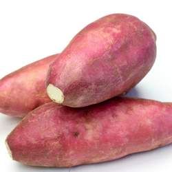 �t�����ܺ�ʲôһ���