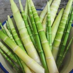 ��S���ܺ�ʲôһ���