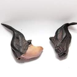 ��ǲ��ܺ�ʲôһ���