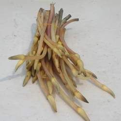 ź���Ĺ�Ч�c����