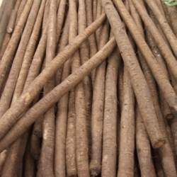 ţ��Ĺ�Ч�c����