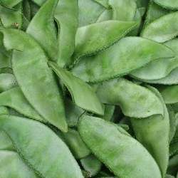 �ⶹ�Ĺ�Ч�c����