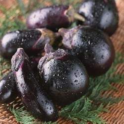 圓茄子的功效與作用