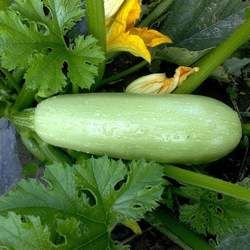 �����J�Ĺ�Ч�c����