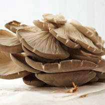 ƽ���Ĺ�Ч�c����