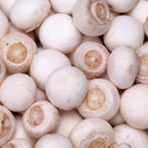 ��Ģ���ܺ�ʲôһ���