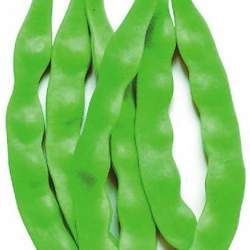 �Ͷ��ǵĹ�Ч�c����