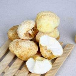 ���^���Ĺ�Ч�c����