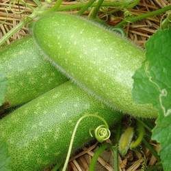 ��(ji��)�ϵĹ�Ч�c����