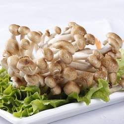 蟹味菇的功效與作用