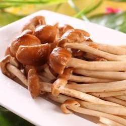 ��乽�Ĺ�Ч�c����