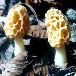 ��Ǿ����ܺ�ʲôһ���