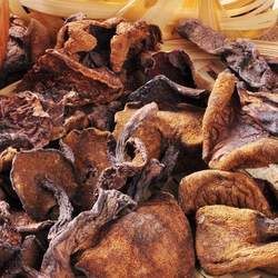 松蘑的功效與作用