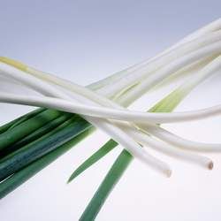 小蔥的功效與作用