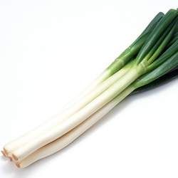 ���[�Ĺ�Ч�c����