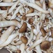 ���r���Ĺ�Ч�c����