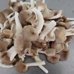 �Pβ���Ĺ�Ч�c����