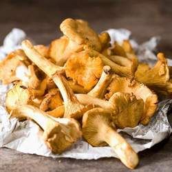 �u�;��Ĺ�Ч�c����