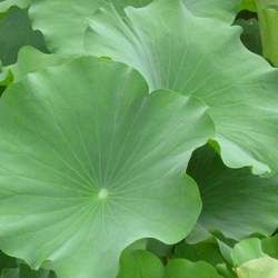 ���~�Ĺ�Ч�c����