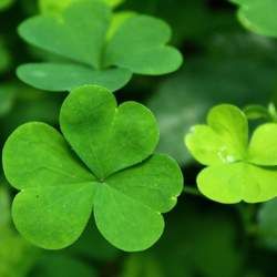 ��ޣ�Ĺ�Ч�c����