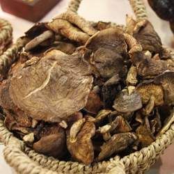干香菇的功效與作用