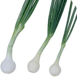 ����Ĺ�Ч�c����