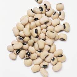 白豆的功效與作用