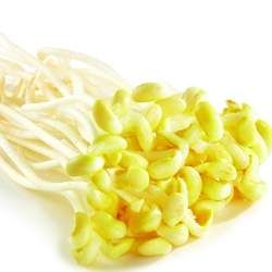 �S��ѿ�Ĺ�Ч�c����