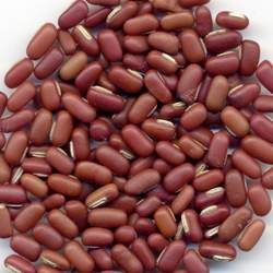 赤小豆的功效與作用