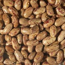 花豆的功效與作用