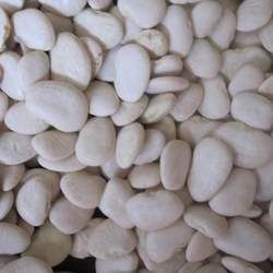 �ױⶹ�Ĺ�Ч�c����