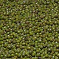 �G���Ĺ�Ч�c����