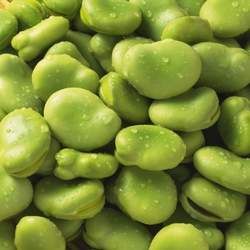 �Q���Ĺ�Ч�c����