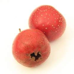 ɽ髵Ĺ�Ч�c����