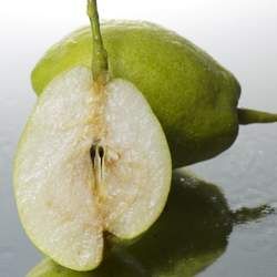 梨的功效與作用