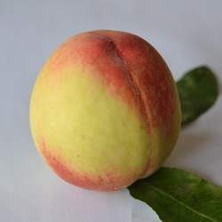 桃的功效與作用