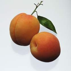 �ӵĹ�Ч�c����