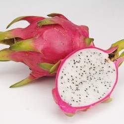 �������Ĺ�Ч�c����