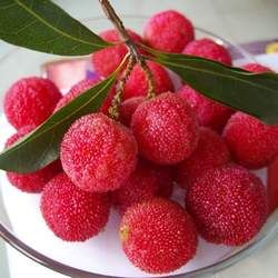 ��÷�Ĺ�Ч�c����