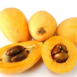 枇杷的功效與作用