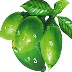 檳榔的功效與作用