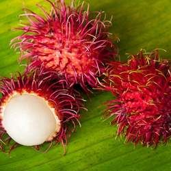 紅毛丹的功效與作用