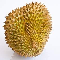 榴蓮的功效與作用