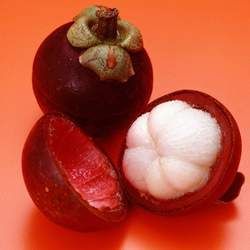 ɽ��Ĺ�Ч�c����