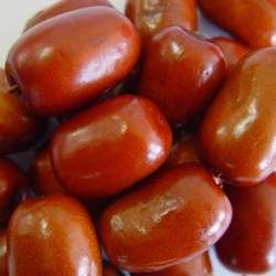 金絲小棗的功效與作用