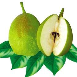 ����Ĺ�Ч�c����