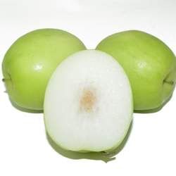 酸棗的功效與作用