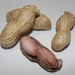 花生的功效與作用