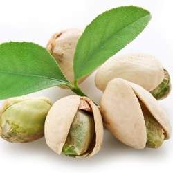 開心果的功效與作用