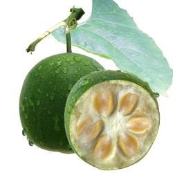 羅漢果的功效與作用